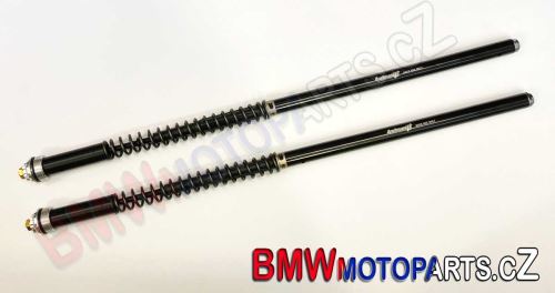 Cartridge přední vidlice Andreani Misano EVO, BMW F800 R