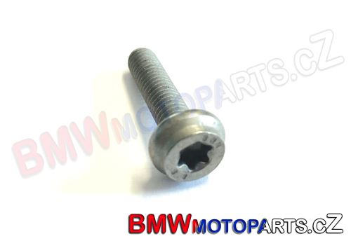 Šroub torx M6x25-8.8-ZNNIV