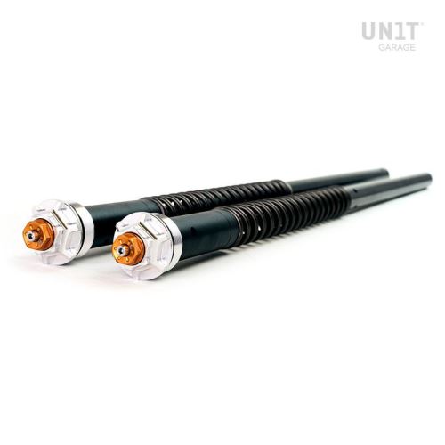 Cartridge přední vidlice Andreani Misano EVO, BMW R NineT Roadster (2014 - 2019)