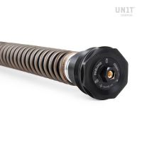 Cartridge přední vidlice Ohlins NIX30S BMW R nineT Roadster (2014-2016) (3)