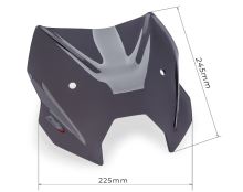 Plexi PUIG 22710 Sport, BMW R1300 R (13)