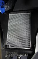 Kryt chladiče BMW R1200 GS/A LC (2014 - 2016) (1)