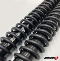 Cartridge přední vidlice Andreani Misano Rally Race, BMW F800 GS (2008-2012) (1)