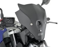 Plexi WRS BM101T Touring, BMW F900 R (6)