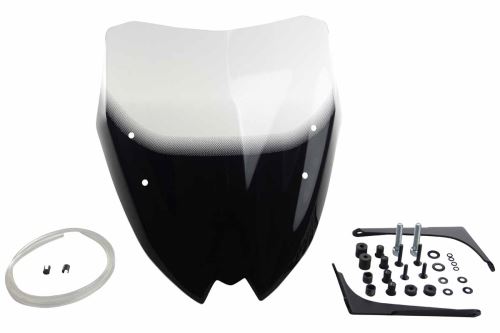 Plexi MRA Racing, BMW G310 R