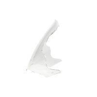 Plexi WRS BM015F, BMW K1200 R, K1300 R (6)
