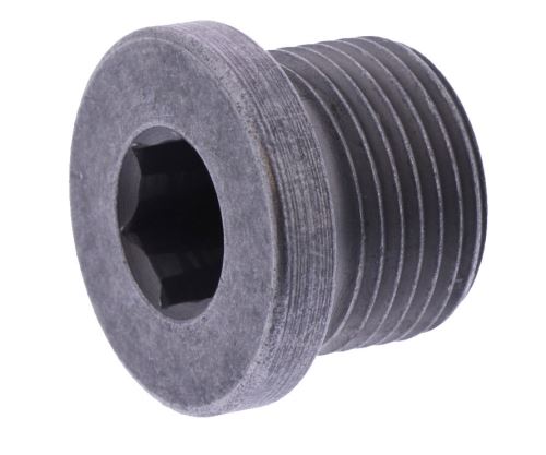 Magnetický výpustný šroub M20X1,5, BMW R1200 LC, R1250