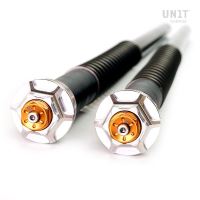 Cartridge přední vidlice Andreani Misano EVO, BMW R NineT Roadster (2014 - 2019) (1)