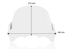 Plexi WRS BM100 Race, BMW M1000 RR (4)