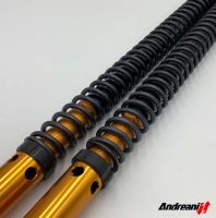 Cartridge přední vidlice Andreani Misano Rally Race, BMW F800 GS (2008-2012) (2)