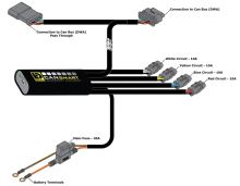 DENALI CANsmart Controller GEN II, BMW F800, F700, F650 TWIN, K1200GT, K1300GT, S (2)